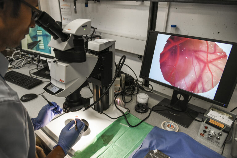 New BMBF funded Research Project at IDC